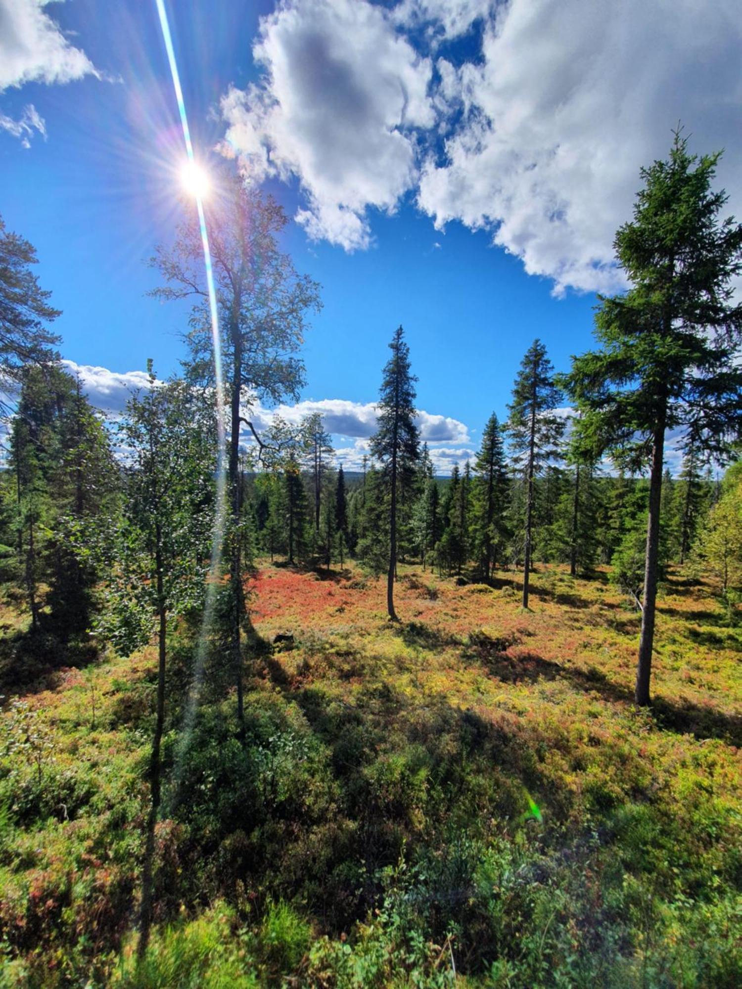 Hietavilla Borealis Ruka Exterior foto